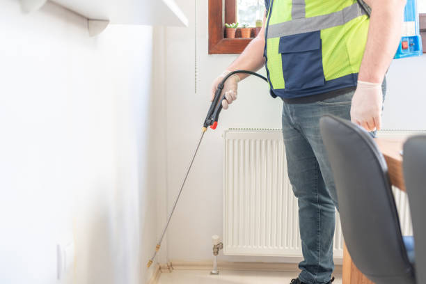 Best Affordable Pest Control Services  in Wheeler Af, HI