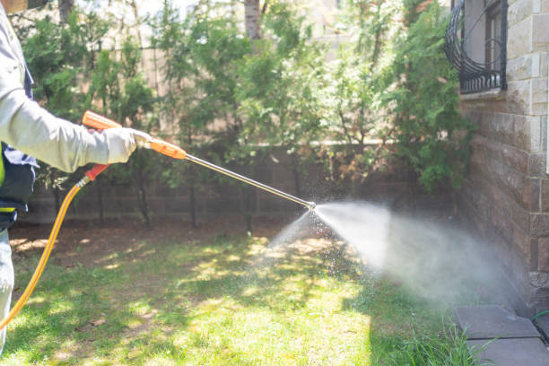 Best Pest Prevention Services  in Wheeler Af, HI
