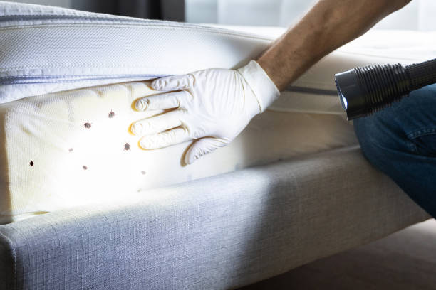 Best Exterminator Services  in Wheeler Af, HI