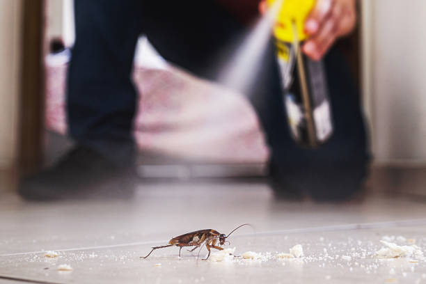 Best Exterminator Services  in Wheeler Af, HI