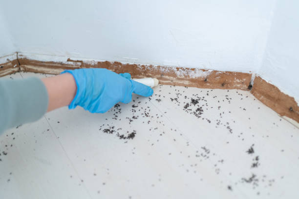 Insect Control in Wheeler Af, HI