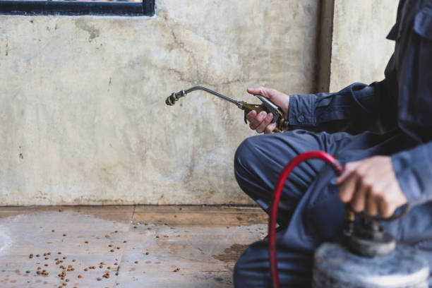 Best Affordable Pest Control Services  in Wheeler Af, HI